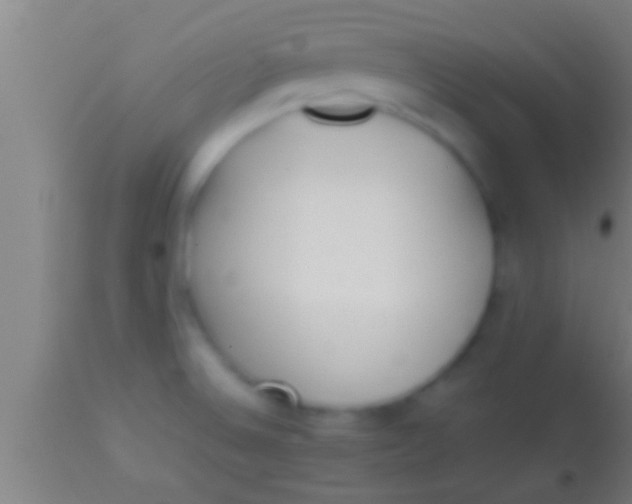 X0000113931524200910161838