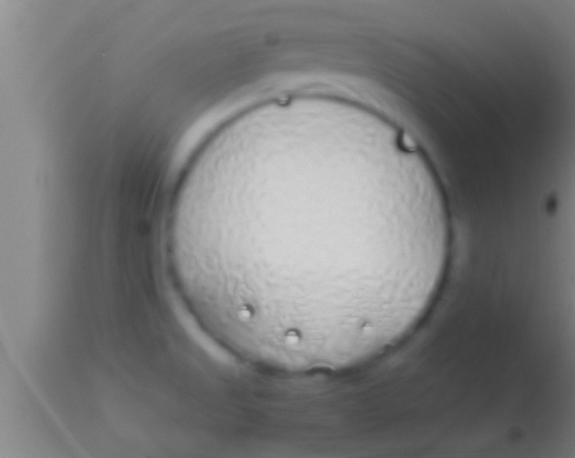 X0000113931525200910161838