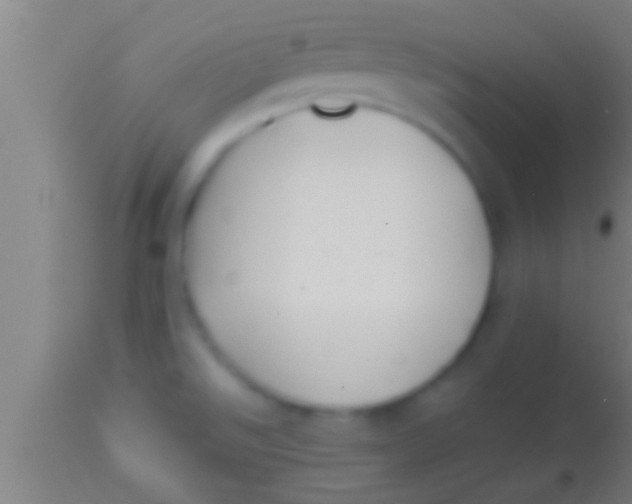 X0000113931526200910161838