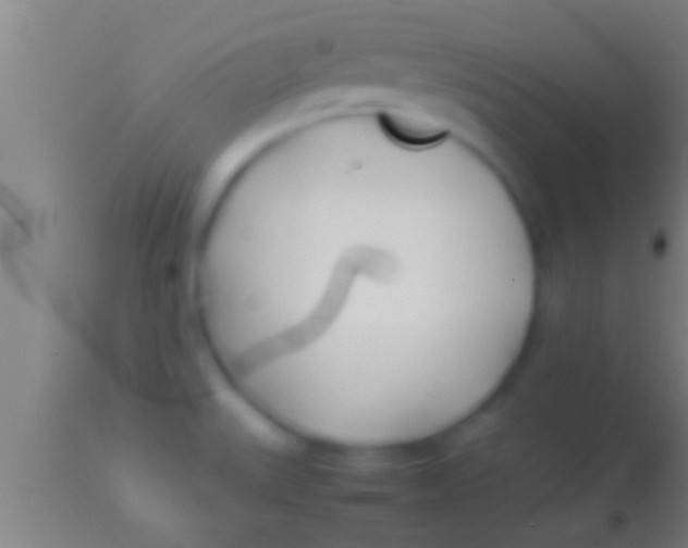 X0000113931527200910161838