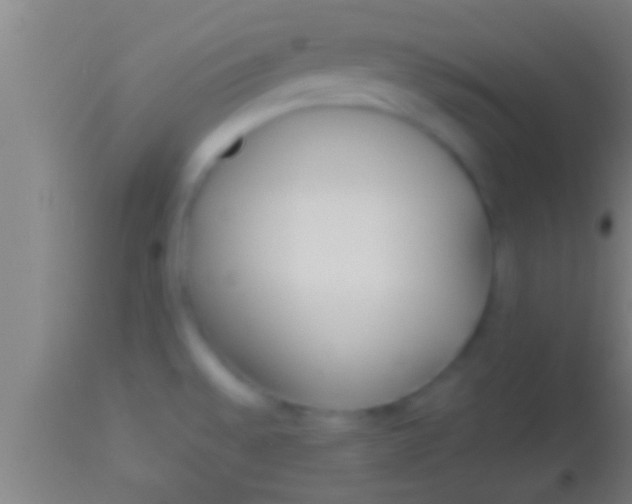 X0000113931528200910161838