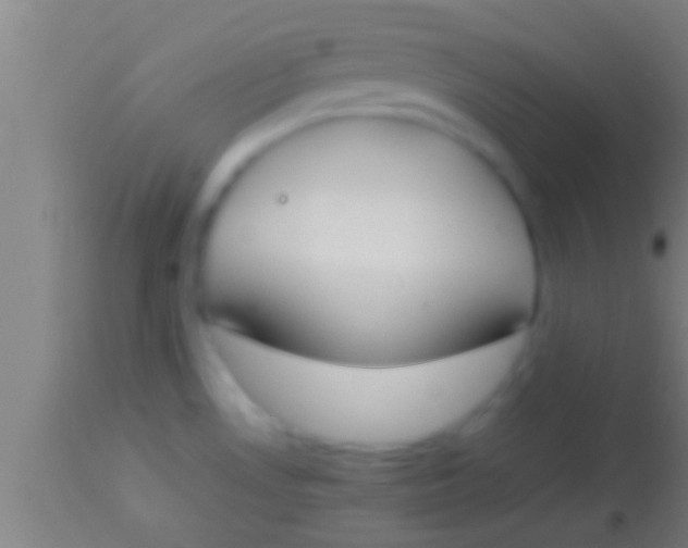 X0000113931530200910161838