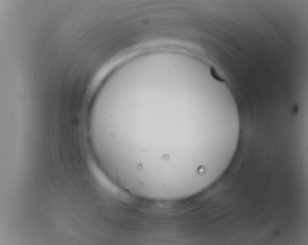 X0000113931531200910161838