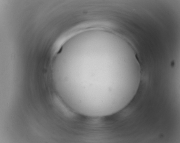 X0000113931532200910161838