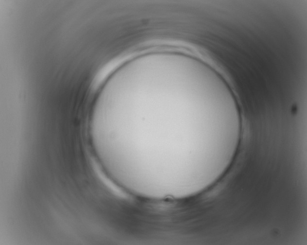 X0000113931533200910161838