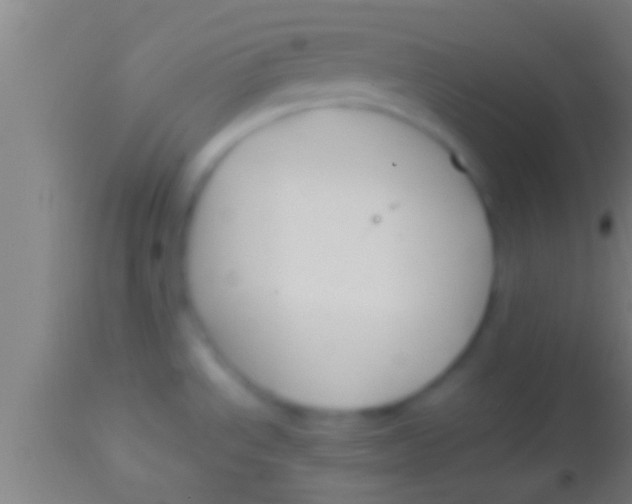 X0000113931534200910161838