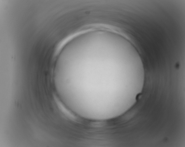 X0000113931535200910161838