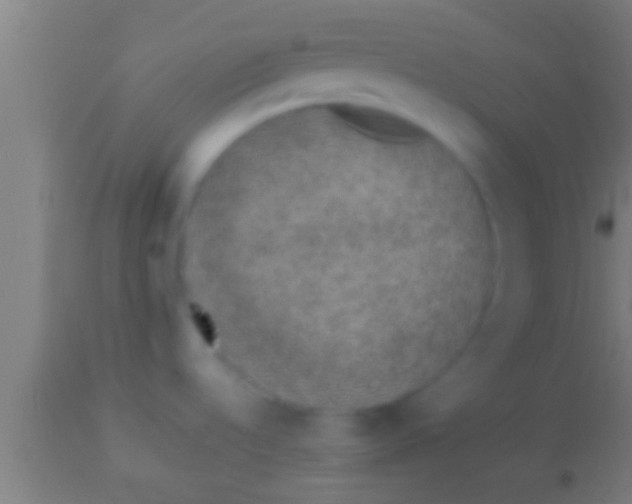 X0000113931536200910161838