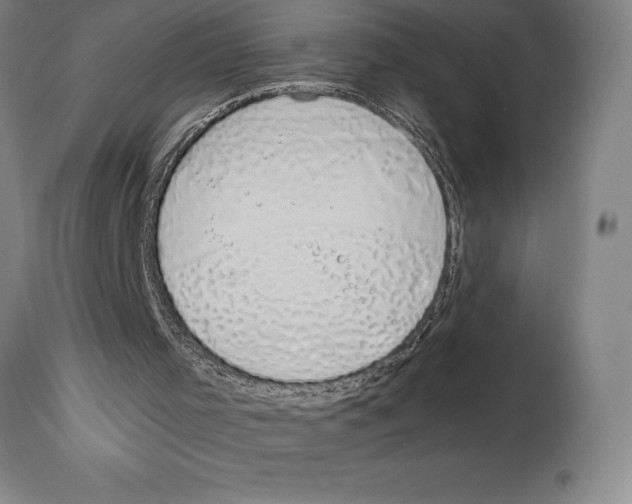 X0000113930001200910231932