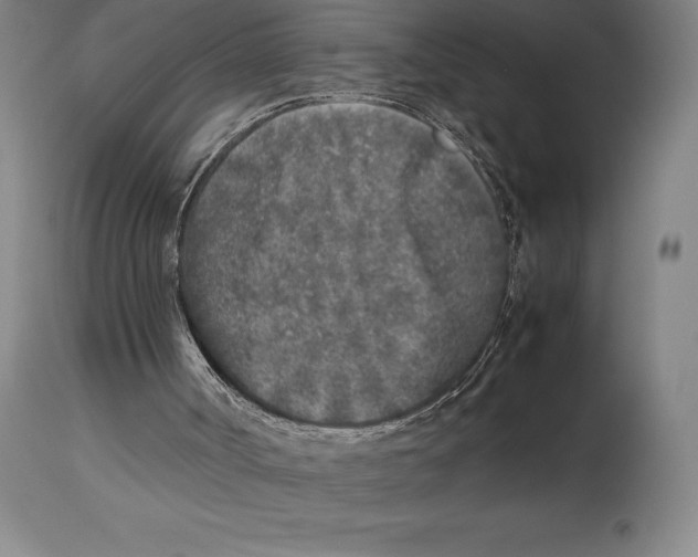 X0000113930002200910231932