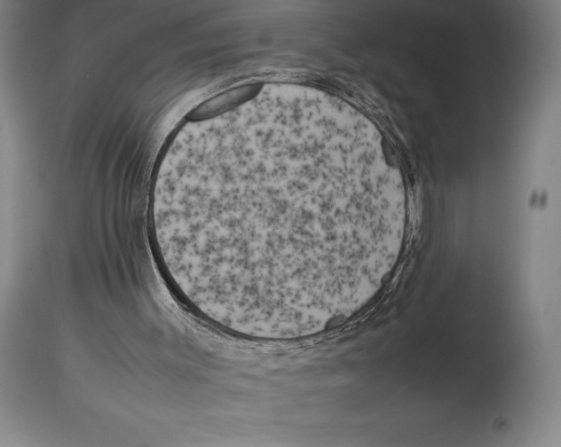 X0000113930003200910231932