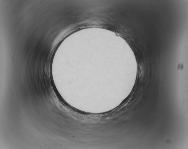 X0000113930004200910231932