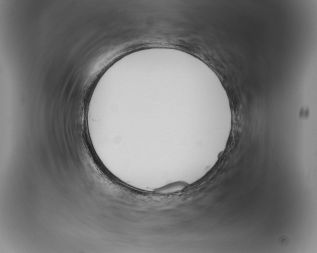 X0000113930005200910231932