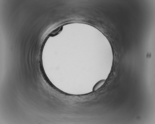 X0000113930007200910231932