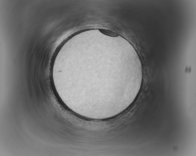 X0000113930008200910231932