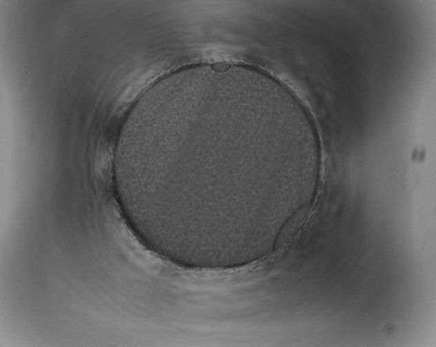 X0000113930009200910231932