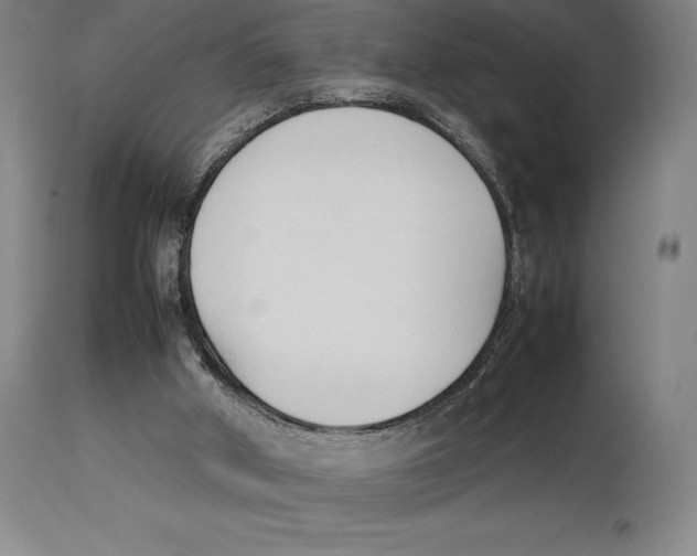 X0000113930010200910231932