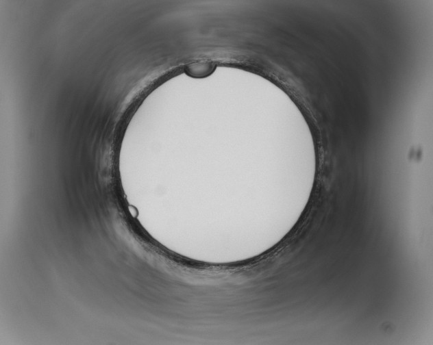 X0000113930012200910231932
