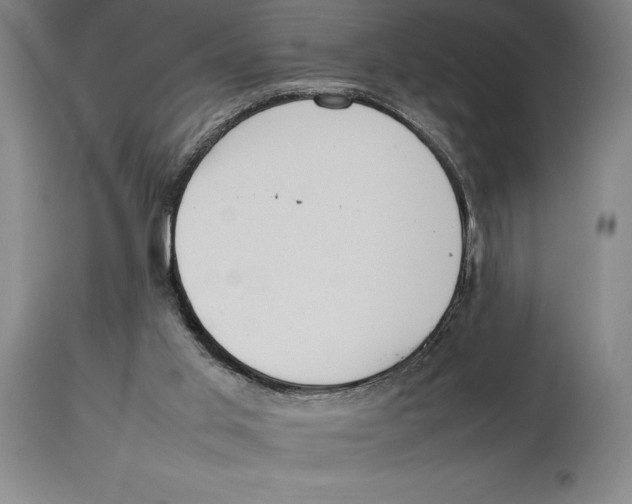 X0000113930013200910231932