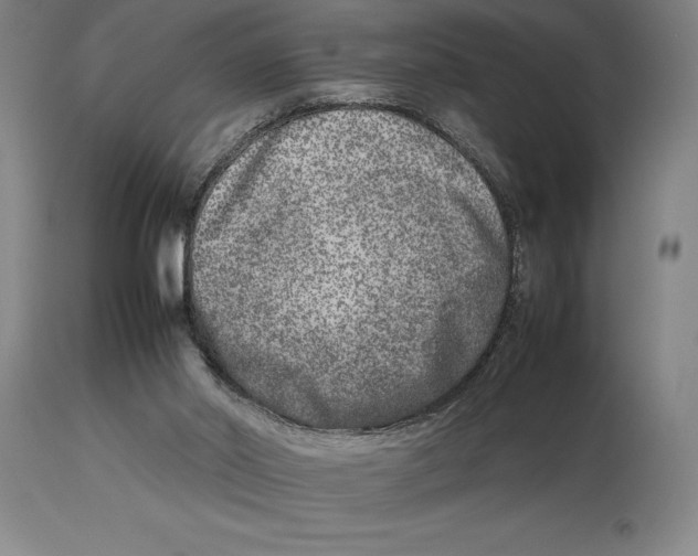 X0000113930014200910231932