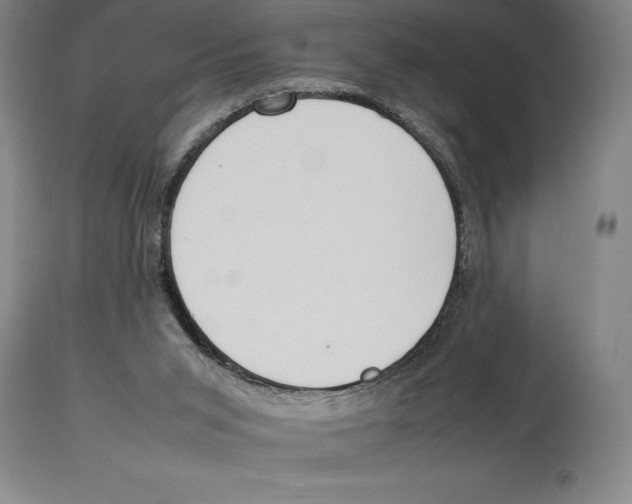 X0000113930015200910231932