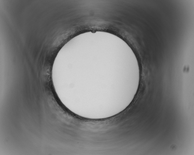 X0000113930017200910231932