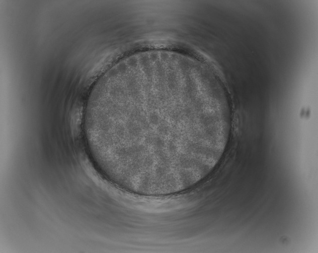X0000113930018200910231932