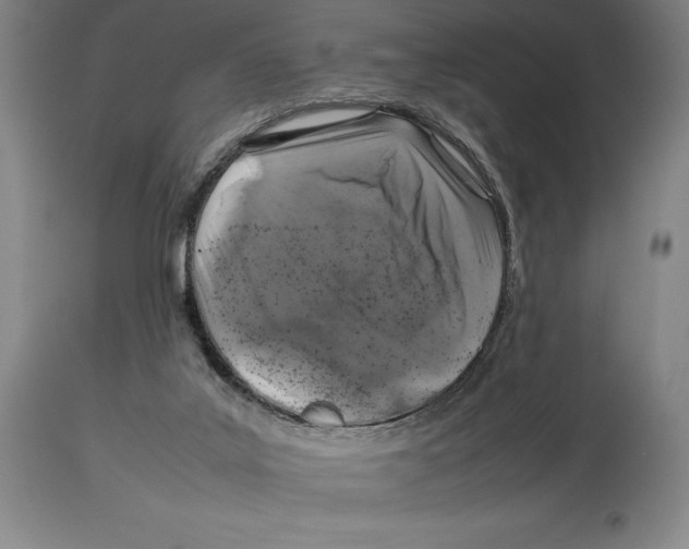X0000113930019200910231932