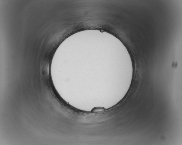 X0000113930021200910231932
