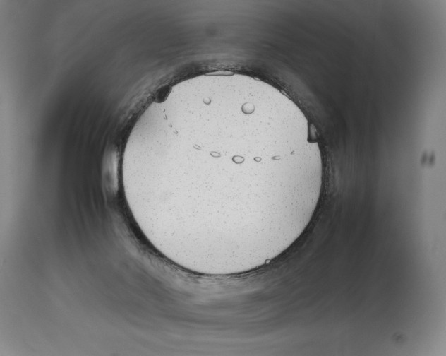 X0000113930022200910231932