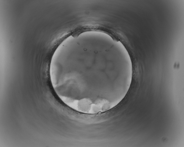 X0000113930023200910231931