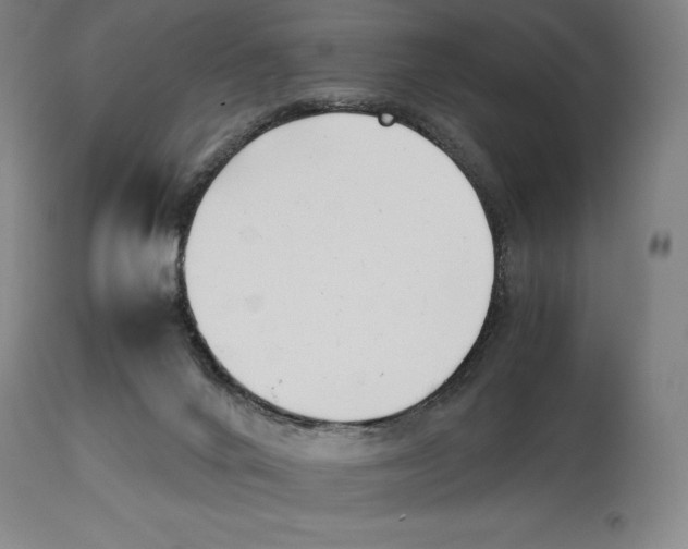 X0000113930024200910231931