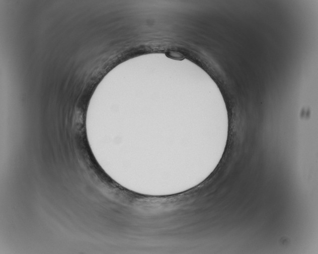 X0000113930025200910231931