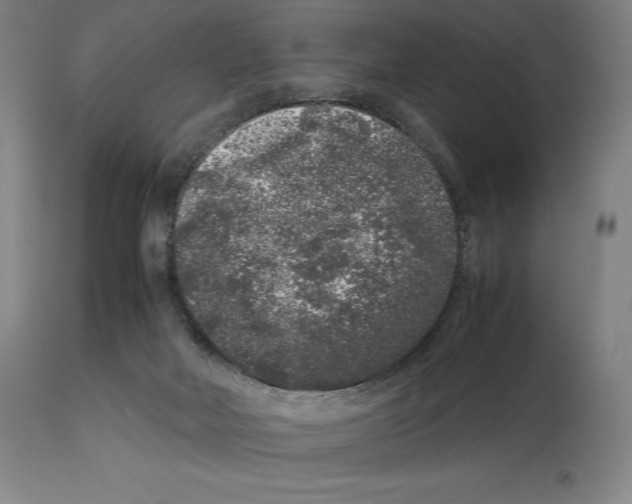 X0000113930026200910231931