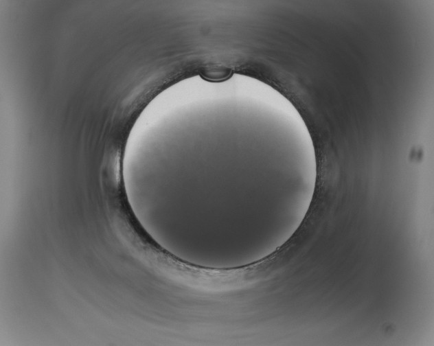 X0000113930027200910231931