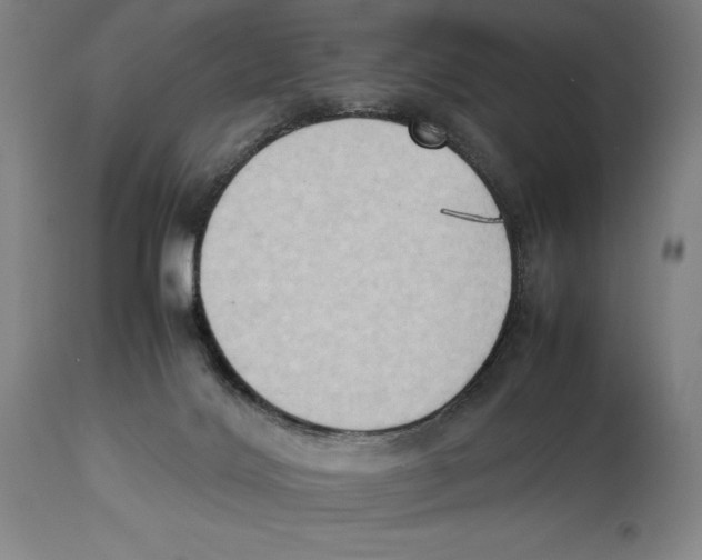 X0000113930028200910231931