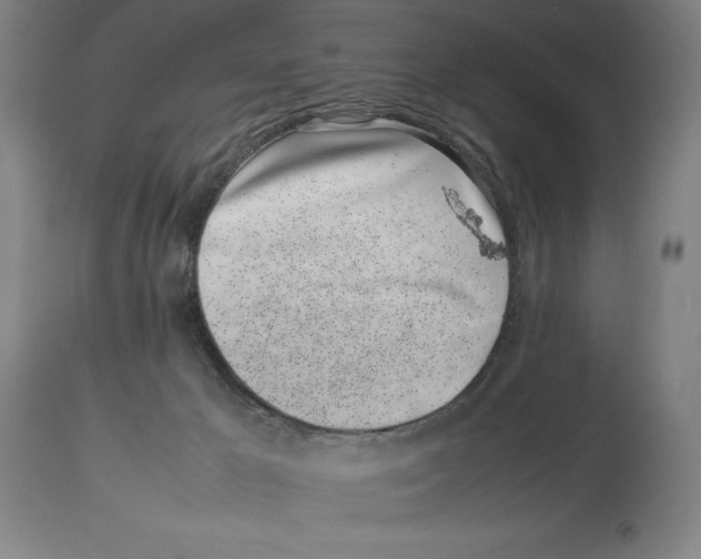 X0000113930029200910231931