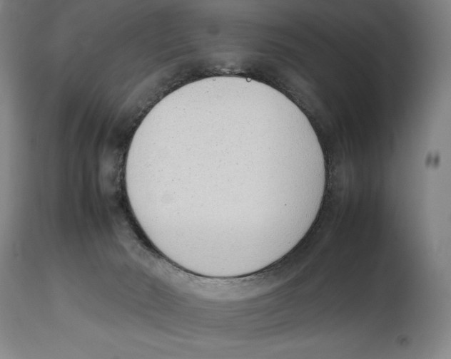 X0000113930030200910231931