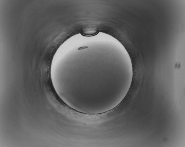 X0000113930031200910231931