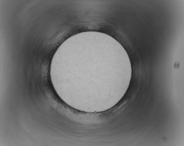X0000113930032200910231931