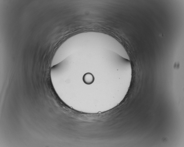 X0000113930033200910231931