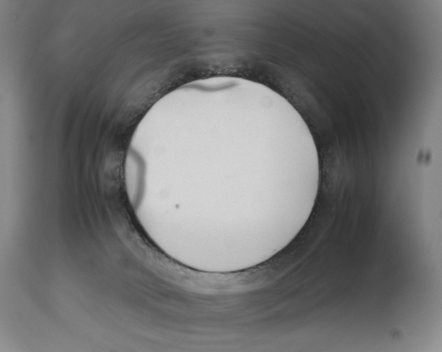 X0000113930034200910231931