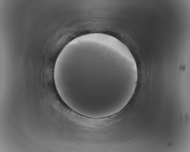 X0000113930035200910231931