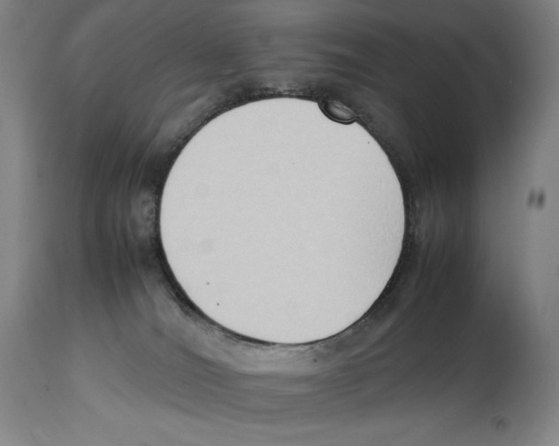 X0000113930036200910231931