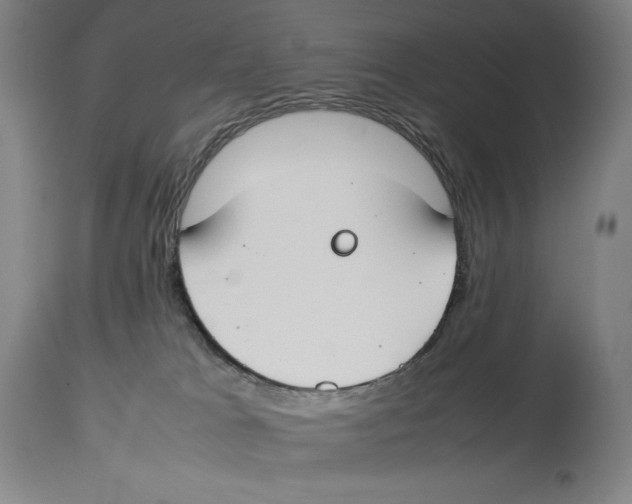 X0000113930037200910231931
