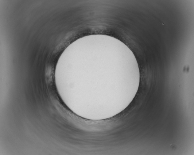 X0000113930038200910231931