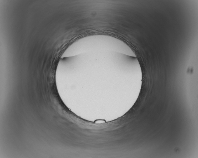 X0000113930039200910231931