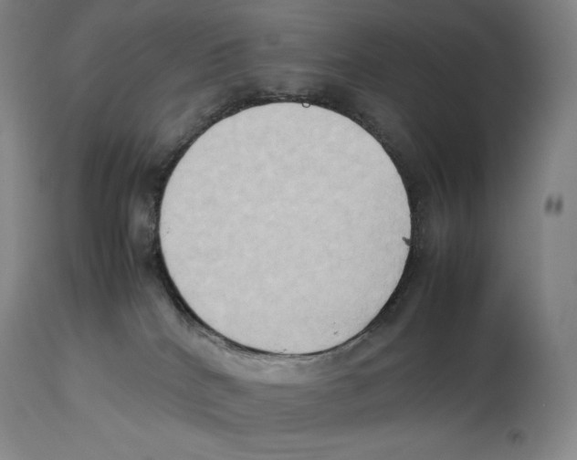 X0000113930040200910231931