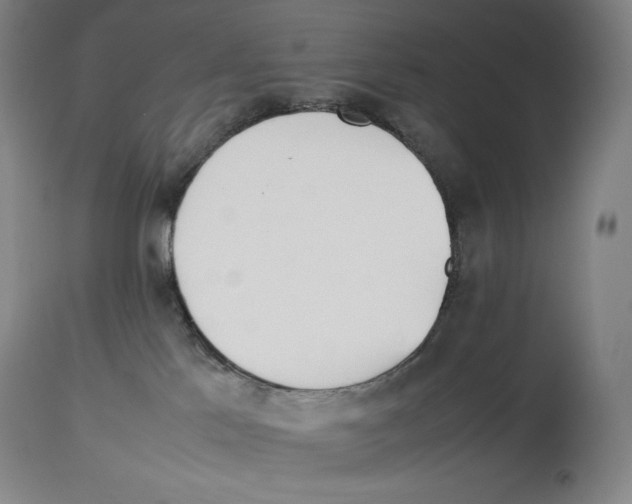X0000113930041200910231931
