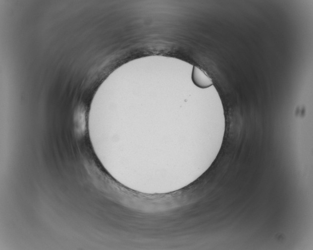 X0000113930042200910231931